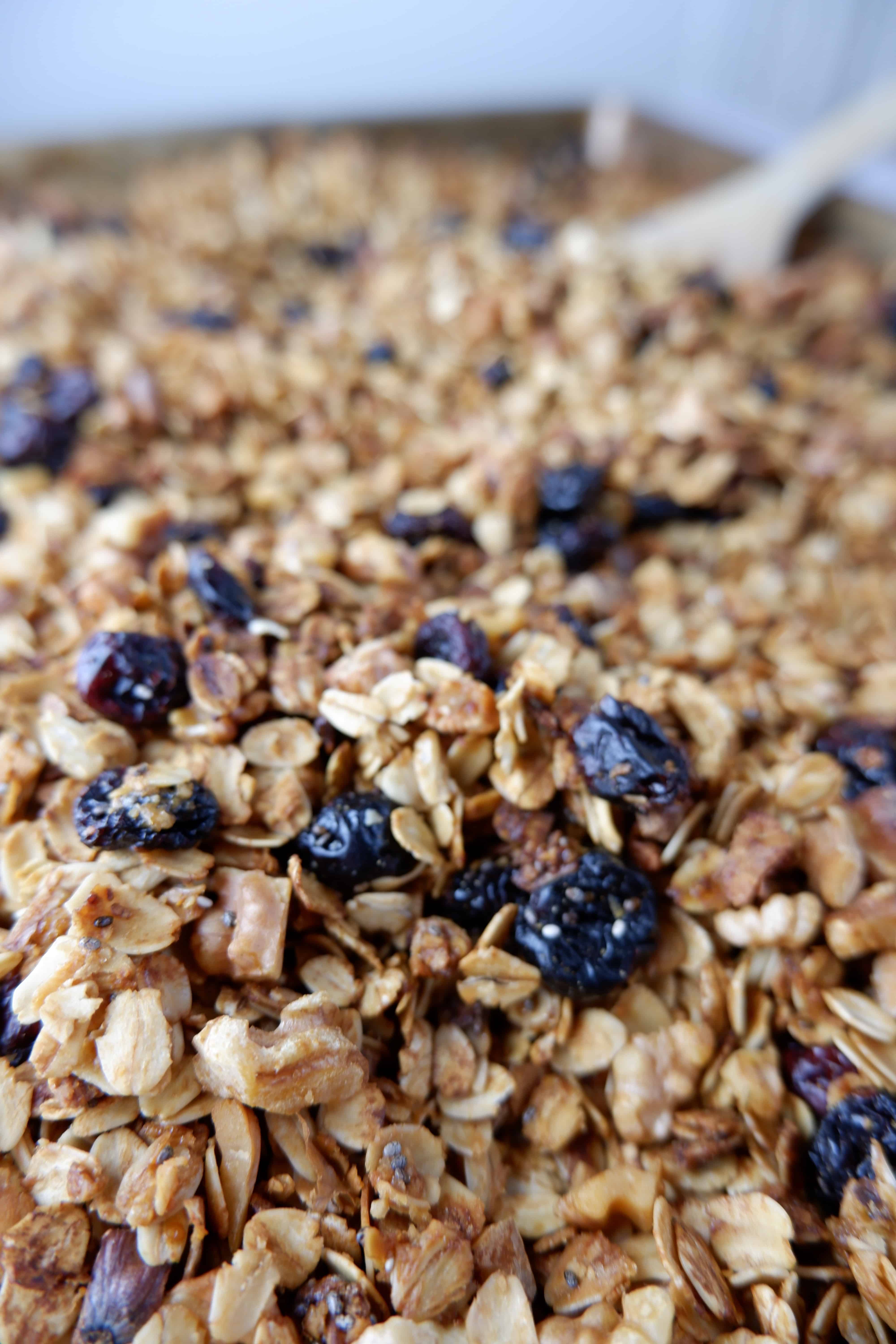 30 Minute Simple Honey Nut Granola | Dummy in the Kitchen