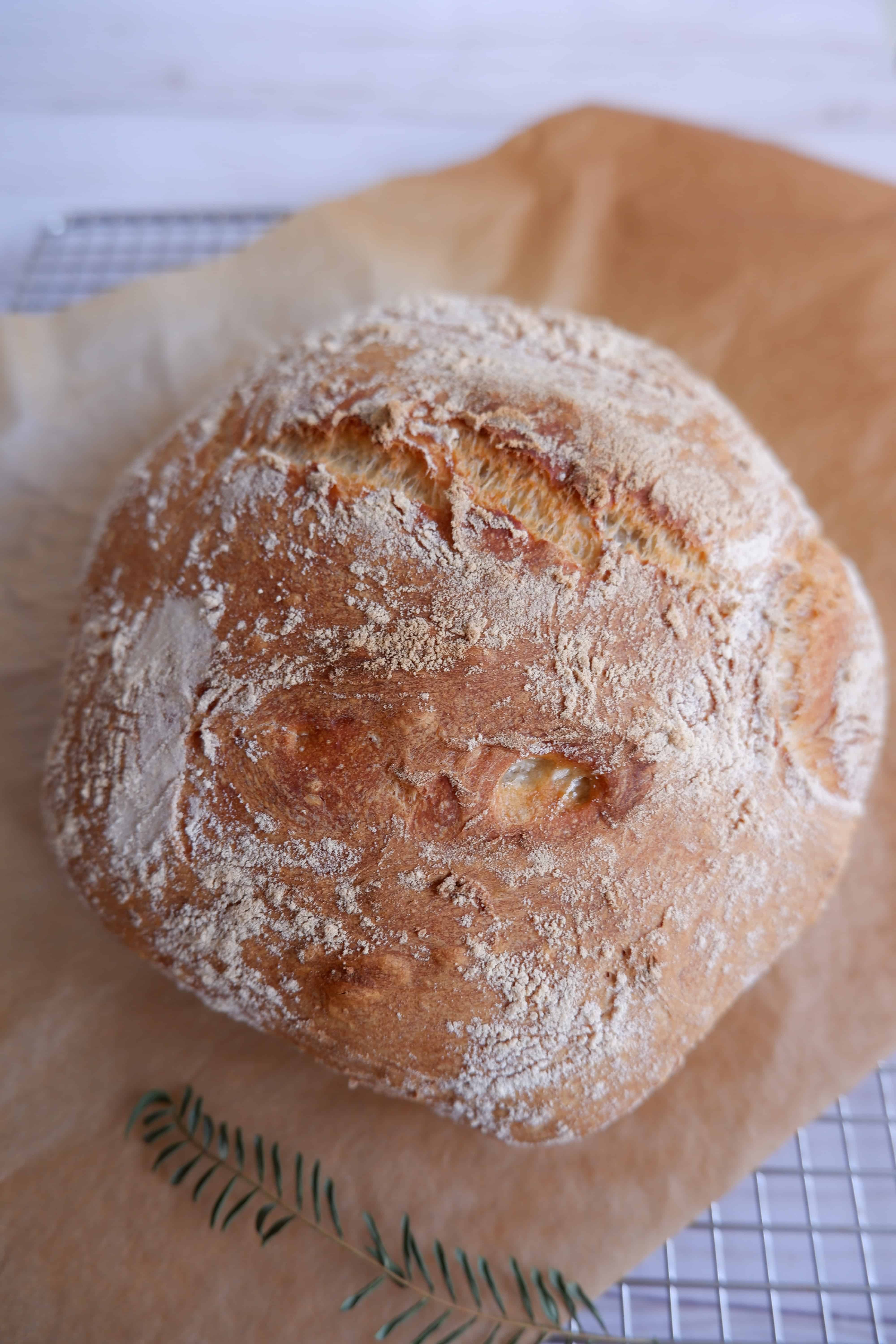 No Knead Crusty Artisan Bread - Dummy In The Kitchen