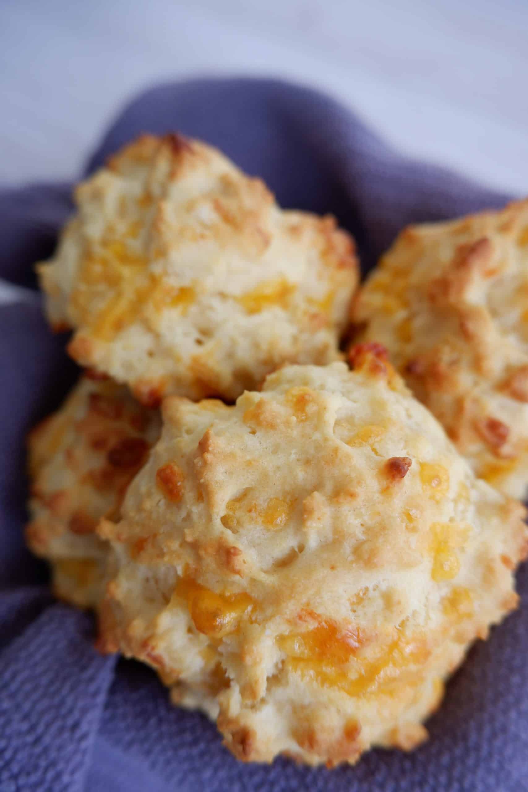 20 Minute Easy Cheesy Biscuits - Dummy In The Kitchen